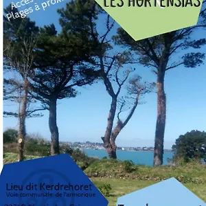 Air De Camping Car, Caravane, Tente Emplacement Nu Avec électricité Petit Camping Camping